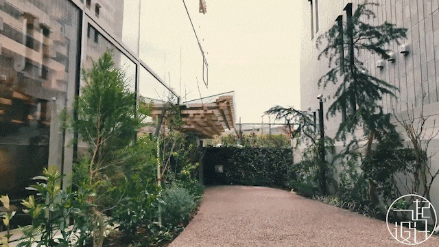 7.gif