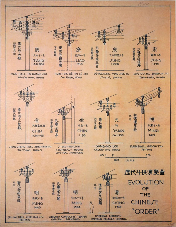 10g.jpg