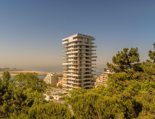 64426473.png 7_2.png